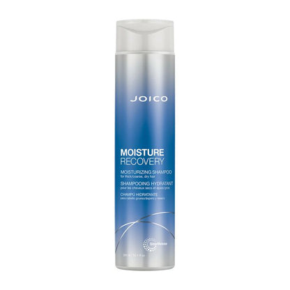 Moisture Recovery Moisturizing Shampoo