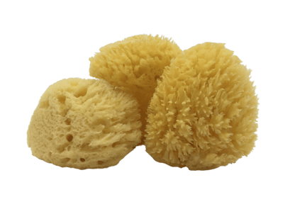 All-Natural Dead Sea Sponge