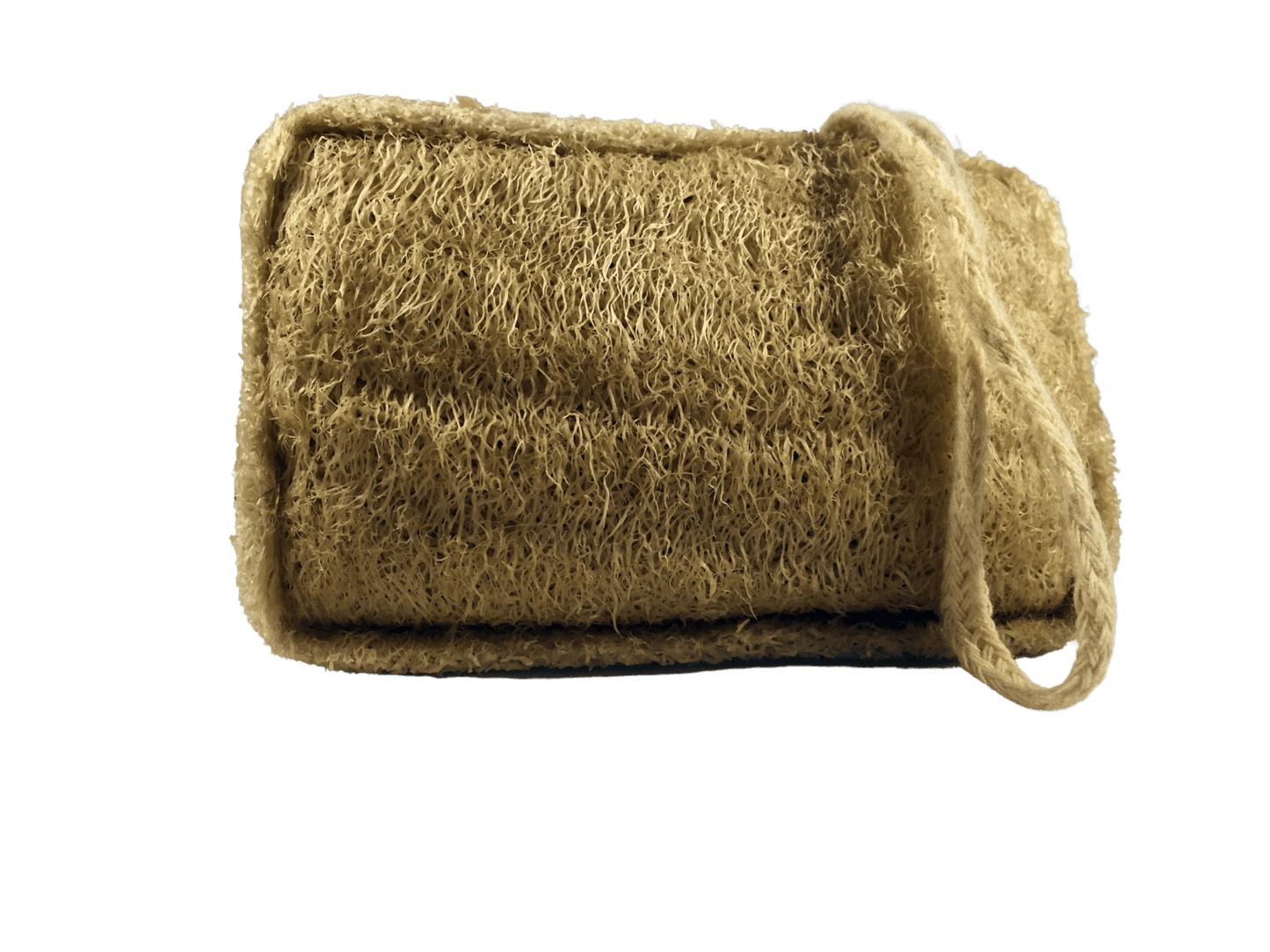 Natural Loofah Sponge