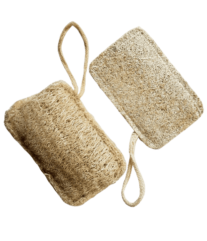 Natural Loofah Sponge